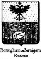 Bornighioni Coat of Arms / Family Crest 0