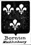 Borntin Coat of Arms / Family Crest 0