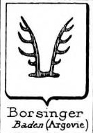 Borsinger Coat of Arms / Family Crest 0