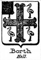 Borth Coat of Arms / Family Crest 0