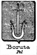 Boruta Coat of Arms / Family Crest 1