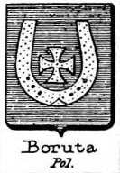 Boruta Coat of Arms / Family Crest 0