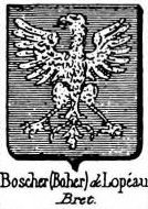 Boscher Coat of Arms / Family Crest 1
