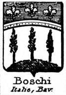 Boschi Coat of Arms / Family Crest 2