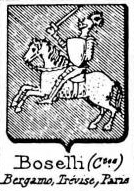 Boselli Coat of Arms / Family Crest 5