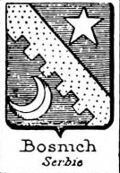 Bosnich Coat of Arms / Family Crest 1
