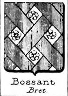 Bossant Coat of Arms / Family Crest 0
