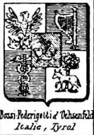Bossi Coat of Arms / Family Crest 17