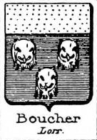 Boucher Coat of Arms / Family Crest 4