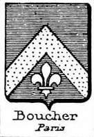 Boucher Coat of Arms / Family Crest 2