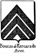 Bouczo Coat of Arms / Family Crest 0