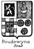 Boudewyns Coat of Arms / Family Crest 0