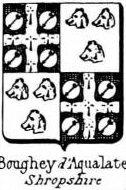 Boughey Coat of Arms / Family Crest 2