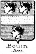 Bouin Coat of Arms / Family Crest 0