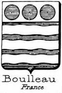 Boulleau Coat of Arms / Family Crest 0