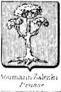 Boumann Coat of Arms / Family Crest 0