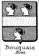 Bouquais Coat of Arms / Family Crest 0