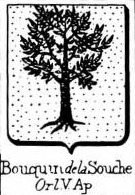Bouquin Coat of Arms / Family Crest 1