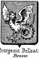 Bourgeois Coat of Arms / Family Crest 20