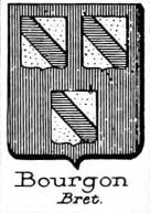 Bourgoing Coat of Arms / Family Crest 2