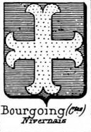 Bourgoing Coat of Arms / Family Crest 0