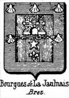 Bourgues Coat of Arms / Family Crest 1