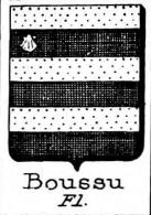 Boussu Coat of Arms / Family Crest 0