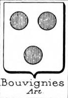 Bouvignies Coat of Arms / Family Crest 0