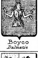 Boyco Coat of Arms / Family Crest 0
