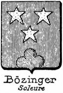 Bozinger Coat of Arms / Family Crest 0