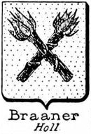 Braaner Coat of Arms / Family Crest 0