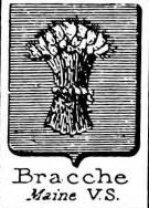 Bracche Coat of Arms / Family Crest 0