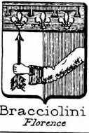 Bracciolini Coat of Arms / Family Crest 2