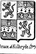 Brace Coat of Arms / Family Crest 0