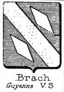 Brach Coat of Arms / Family Crest 0