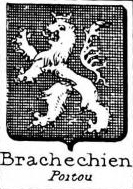 Brachechien Coat of Arms / Family Crest 0