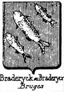 Braderyck Coat of Arms / Family Crest 0