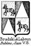Bradsky Coat of Arms / Family Crest 0