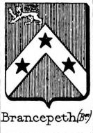 Brancepeth Coat of Arms / Family Crest 0