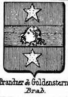 Brandner Coat of Arms / Family Crest 0