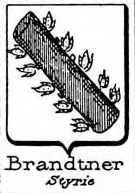 Brandtner Coat of Arms / Family Crest 0