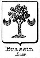 Brassin Coat of Arms / Family Crest 0