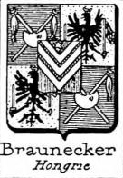 braunecker Coat of Arms / Family Crest 2