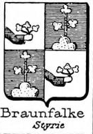Braunfalcke Coat of Arms / Family Crest 0