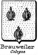 Brauweiler Coat of Arms / Family Crest 1