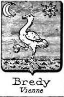 Bredy Coat of Arms / Family Crest 0