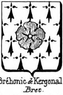 Brehonie Coat of Arms / Family Crest 0
