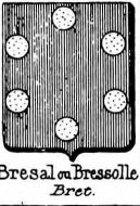 Bresal Coat of Arms / Family Crest 0