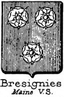Bresignies Coat of Arms / Family Crest 0