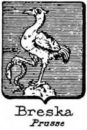 Breska Coat of Arms / Family Crest 0